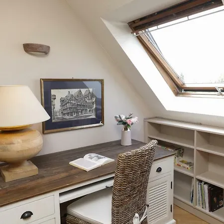 Le Duplex D'hestia 公寓 科尔马